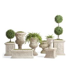 four white vases with plants in them