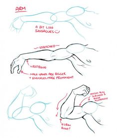 how to draw the human body in 3 easy steps drawing lessons, drawing tips, drawing sketches, art drawings, drawing techniques, anatomy drawing reference poses, arm muscles, person, hand reference, figure, arms and leg