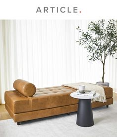 a living room with a couch, coffee table and potted plant