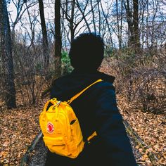 a person sitting on a bench in the woods with a yellow backpack over their shoulder