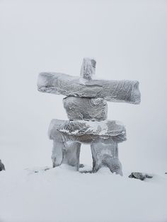 an ice sculpture is shown in the snow