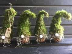 moss covered pine cones are arranged in the shape of trees with white balls on them