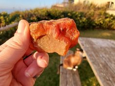 a person holding up a piece of food in their hand