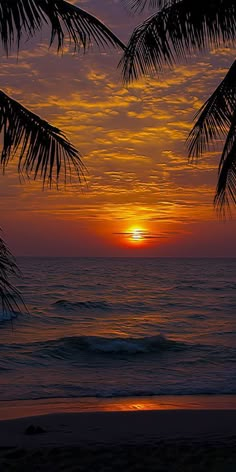 the sun is setting over the ocean with palm trees