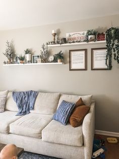 a living room filled with lots of furniture and plants on top of the shelves over the couch