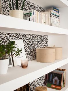 shelves with books, plants and pictures on them