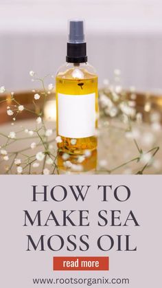 Sea Moss Oil: How to Make Your Own & Reap the Benefits - Roots Organix Sea Moss Oil Recipe, Infused Sea Moss Gel Recipes, Diy Sea Moss Soap Recipe, Sea Moss For Skin, Sea Moss For Hair Growth, Sea Moss Skin Care, Sea Moss Hair Mask, Sea Moss Recipes, Sea Moss Soap