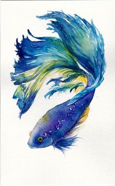 a watercolor painting of a fish with blue and yellow tailing feathers on it's back