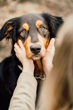 a woman petting a black and brown dog's face while it is being held by another person