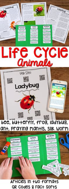 the ladybug life cycle worksheet with instructions for kids to learn how to use