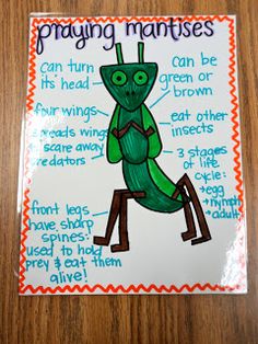 a poster with words and pictures on it that say praying mantisses, can be his head - green or brown