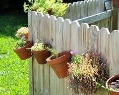 several potted plants hanging on a wooden fence