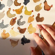 a person holding a marker in front of a bunch of chickens on a piece of paper