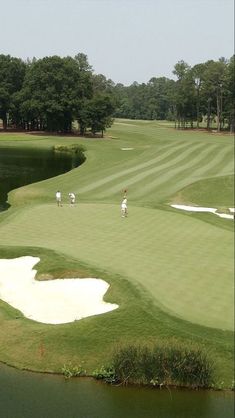 several people playing golf on a green course near some water and trees in the background