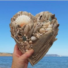 someone holding up a heart shaped piece of driftwood with shells and seashells on it