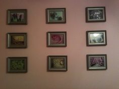 there are many framed pictures on the wall