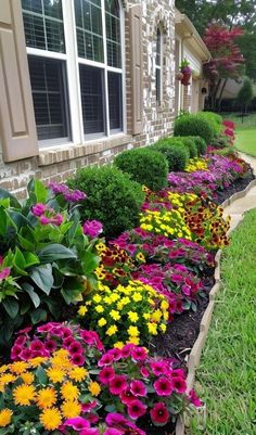 colorful flowers line the side of a house