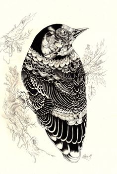 a black and white drawing of a bird on a branch