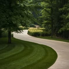 a winding road in the middle of a park with trees and grass on both sides