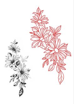 a drawing of some flowers on a white background and one red flower in the foreground