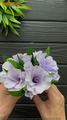 a person holding some purple flowers in their hands