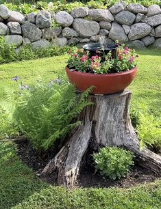 a potted planter sitting on top of a tree stump in a garden area