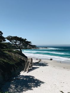 people are walking on the beach by the water and trees in the sand near the ocean