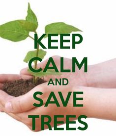 two hands holding a plant with the words keep calm and save trees