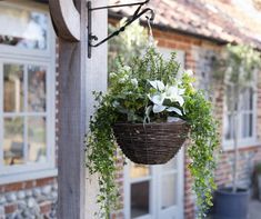 a hanging basket with flowers and greenery on the outside of a brick building,