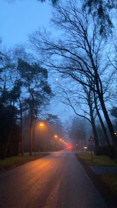 an empty street at night with the lights on and trees in the foreground that are bare