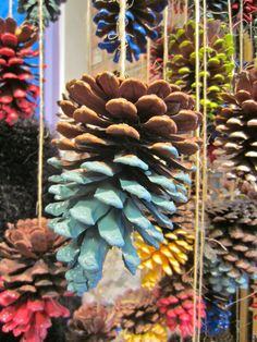 several pine cones hanging from strings in front of a window