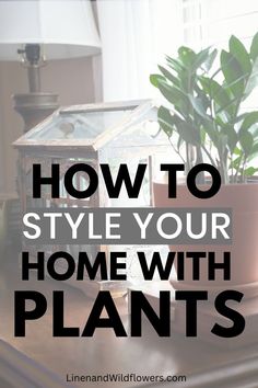 a house plant sitting on top of a wooden table