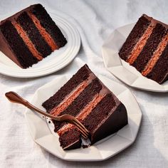 two plates with slices of chocolate cake on them