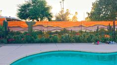 a pool with a mural on the side of it next to a fence and trees