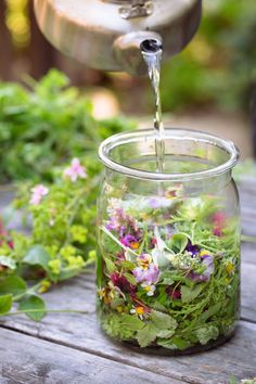 a glass jar filled with flowers and water on top of a wooden table next to plants