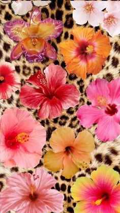 #aesthetic #aesthetic Iphone Wallpaper Animal Print, Iphone Background Wallpaper Summer, Cherry Cheetah Print Wallpaper, Pink Wallpaper Cheetah, Cheetah Print Poster, Neon Cheetah Print Wallpaper, Leopard Print Wallpaper Laptop, Hello Kitty Cheetah Print Wallpaper, Luvleysigns Wallpaper