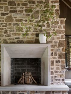 a fireplace with logs and a potted plant on top