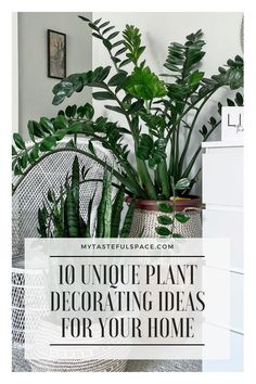 house plants with the words 10 unique plant decor ideas for your home