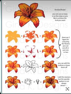 an orange flower is shown with instructions to make it look like the flowers are blooming