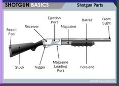 the parts of a shotgun are shown in this graphic above it's description and description