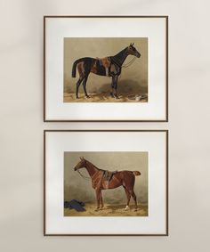 two framed pictures of horses on display in a room