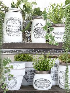 some plants are sitting in mason jars on a shelf