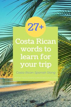 a palm tree on the beach with text overlay that reads 27 + costa rica words to learn for your trip