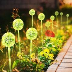 some green and yellow flowers are in the grass