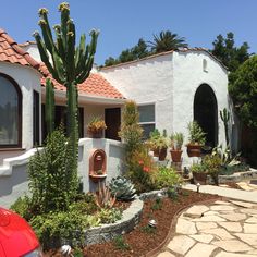 a white house with cactus and succulents in the front yard, next to a red car