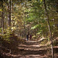 two people walking down a dirt road in the woods with trees on both sides and leaves all over the ground