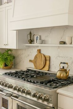 a stove top oven sitting inside of a kitchen next to a potted green plant