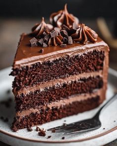 a slice of chocolate cake on a plate with a fork