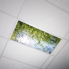 the ceiling is covered with white tiles and green trees are visible in the sky above