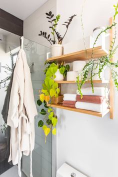 the bathroom is clean and ready to be used as a planter, toilet paper holder, and shower curtain